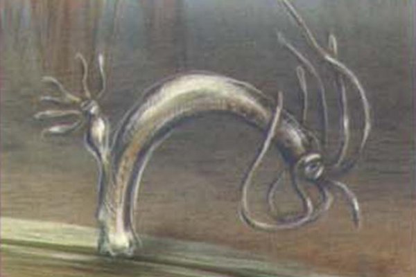 Tor kraken link